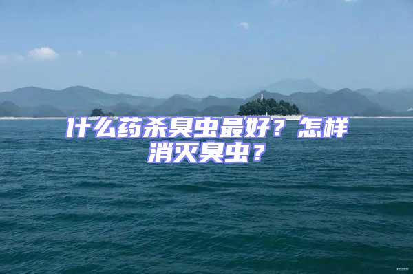 什么藥殺臭蟲最好？怎樣消滅臭蟲？