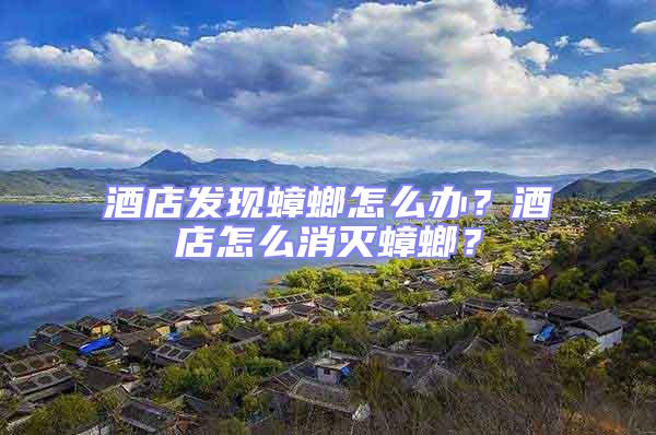 酒店發現蟑螂怎么辦？酒店怎么消滅蟑螂？