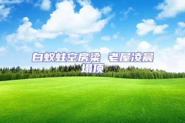 白蟻蛀空房梁 老屋凌晨塌頂