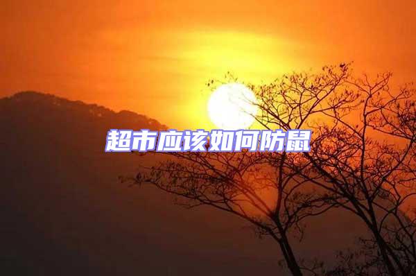 超市應(yīng)該如何防鼠