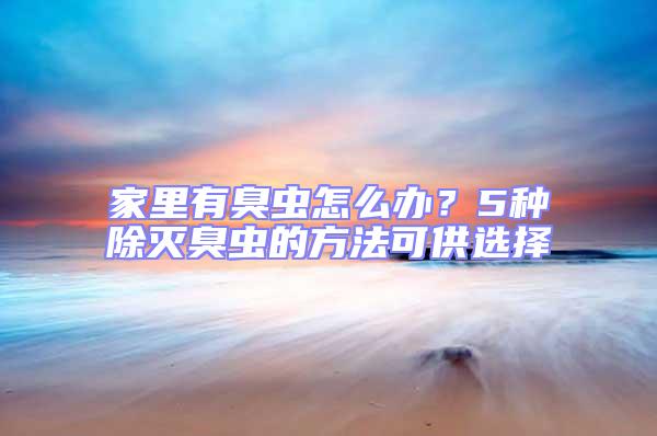 家里有臭蟲怎么辦？5種除滅臭蟲的方法可供選擇