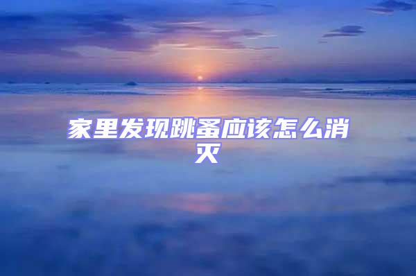 家里發(fā)現(xiàn)跳蚤應(yīng)該怎么消滅