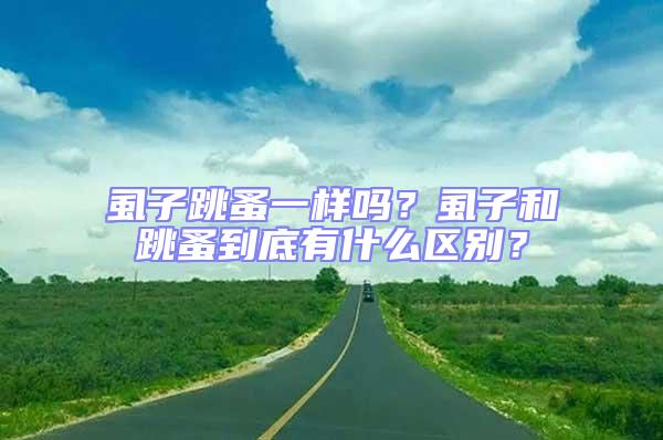 虱子跳蚤一樣嗎？虱子和跳蚤到底有什么區別？
