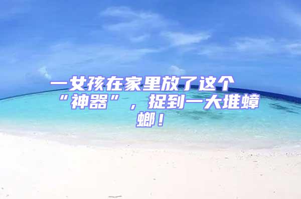 一女孩在家里放了這個(gè)“神器”，捉到一大堆蟑螂！