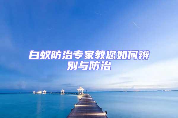 白蟻防治專家教您如何辨別與防治