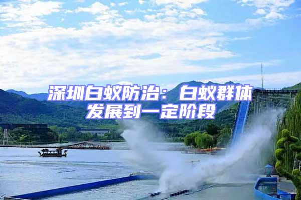 深圳白蟻防治：白蟻群體發(fā)展到一定階段