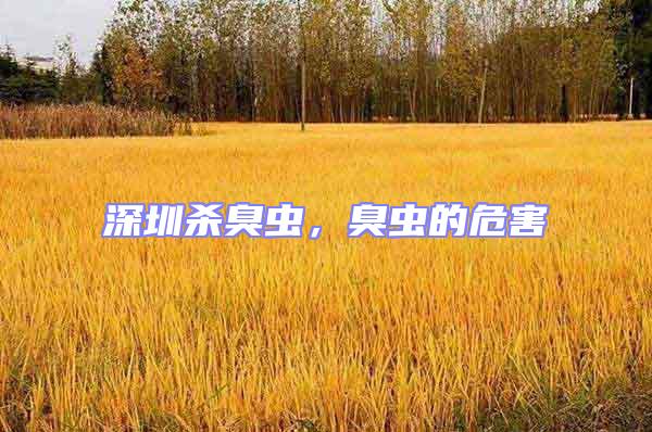 深圳殺臭蟲(chóng)，臭蟲(chóng)的危害