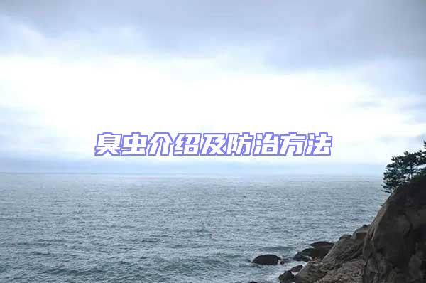臭蟲介紹及防治方法