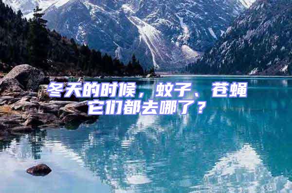 冬天的時候，蚊子、蒼蠅它們都去哪了？
