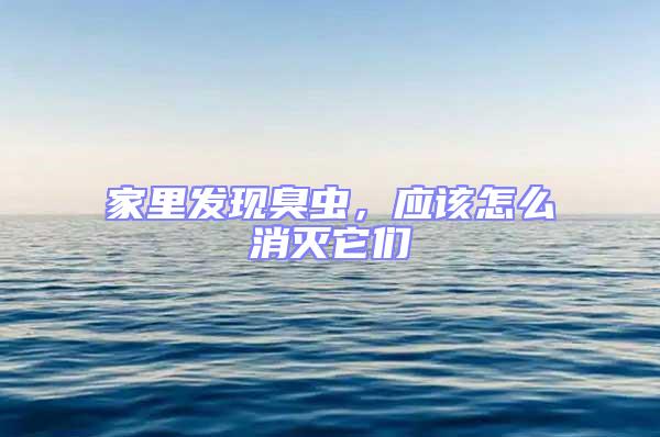 家里發現臭蟲，應該怎么消滅它們