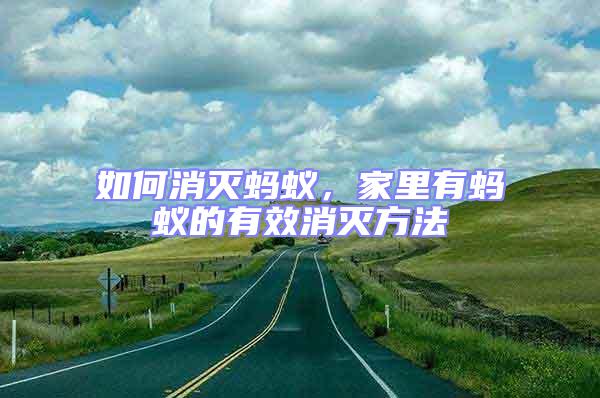 如何消滅螞蟻，家里有螞蟻的有效消滅方法