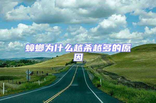 蟑螂為什么越殺越多的原因