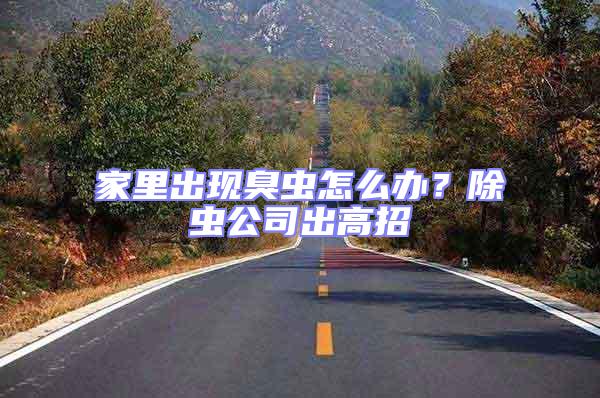 家里出現臭蟲怎么辦？除蟲公司出高招