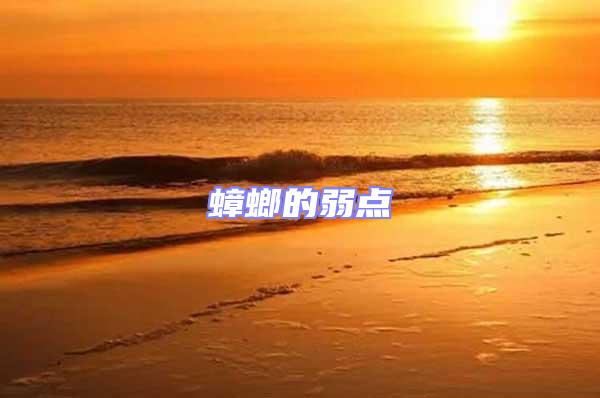 蟑螂的弱點