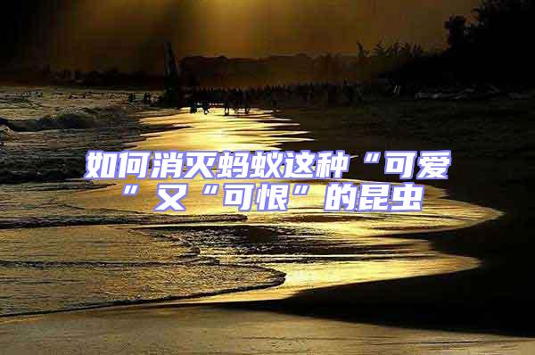 如何消滅螞蟻這種“可愛”又“可恨”的昆蟲
