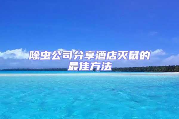 除蟲公司分享酒店滅鼠的最佳方法