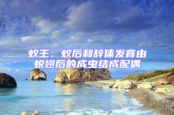 蟻王、蟻后和辭體發育由蛻翅后的成蟲結成配偶