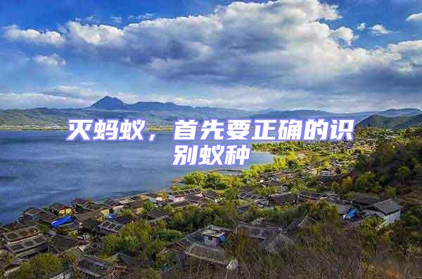 滅螞蟻，首先要正確的識別蟻種