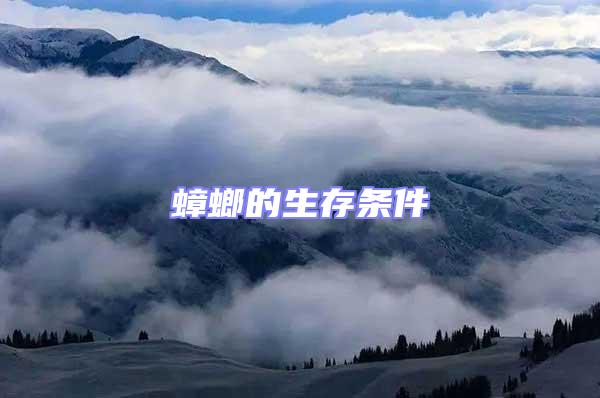 蟑螂的生存條件