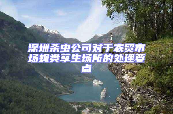 深圳殺蟲公司對于農貿市場蠅類孳生場所的處理要點