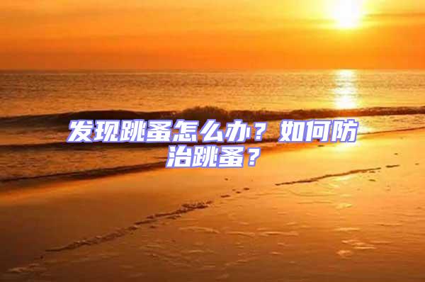 發(fā)現(xiàn)跳蚤怎么辦？如何防治跳蚤？