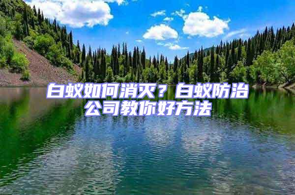 白蟻如何消滅？白蟻防治公司教你好方法