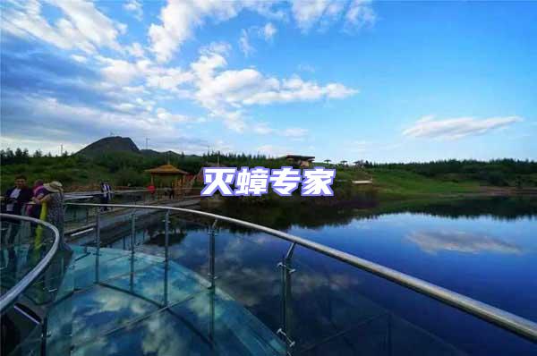 滅蟑專家