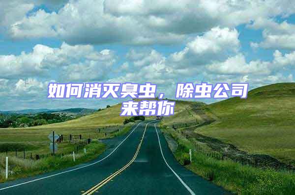 如何消滅臭蟲，除蟲公司來幫你