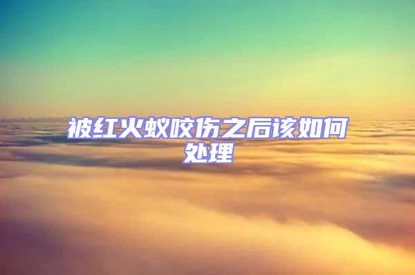 被紅火蟻咬傷之后該如何處理
