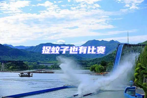 捉蚊子也有比賽