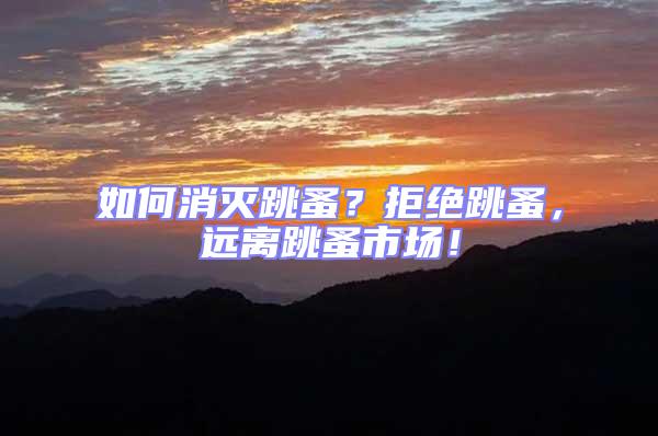 如何消滅跳蚤？拒絕跳蚤，遠(yuǎn)離跳蚤市場(chǎng)！
