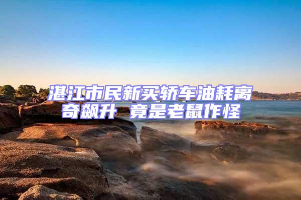 湛江市民新買轎車油耗離奇飆升 竟是老鼠作怪
