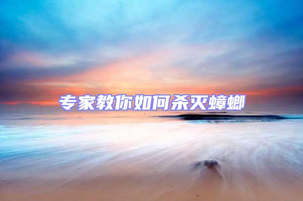 專(zhuān)家教你如何殺滅蟑螂