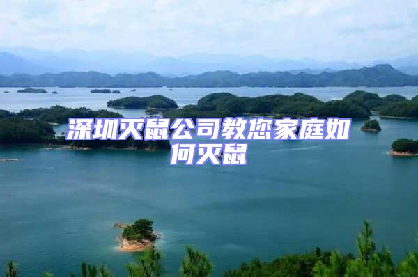 深圳滅鼠公司教您家庭如何滅鼠