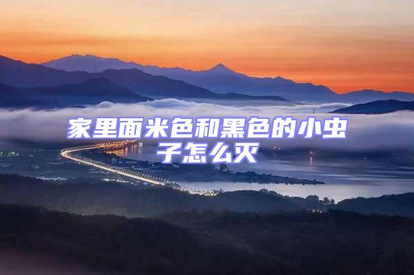 家里面米色和黑色的小蟲子怎么滅