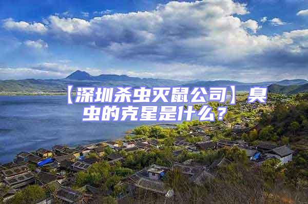 【深圳殺蟲滅鼠公司】臭蟲的克星是什么？