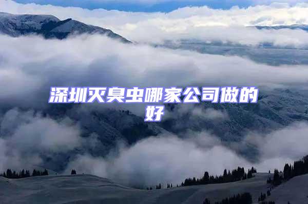 深圳滅臭蟲哪家公司做的好