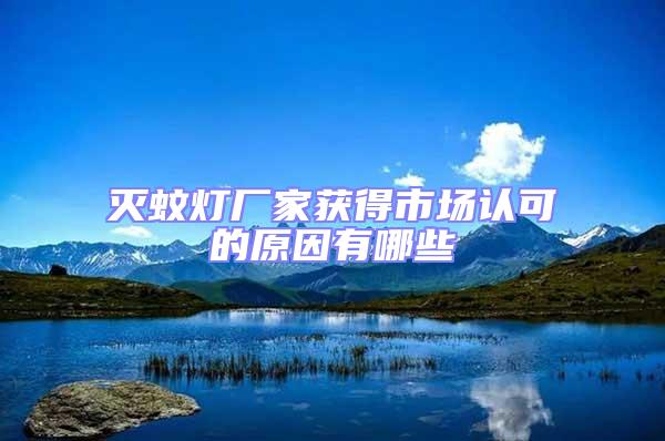 滅蚊燈廠家獲得市場認可的原因有哪些