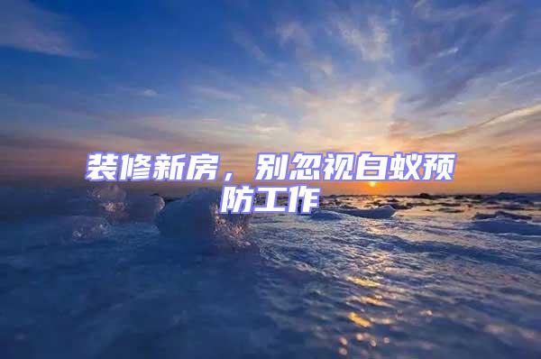 裝修新房，別忽視白蟻預防工作