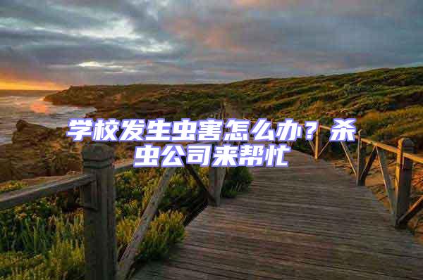 學校發生蟲害怎么辦？殺蟲公司來幫忙