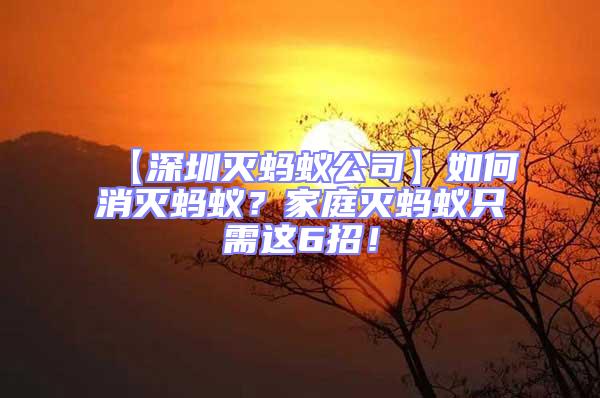 【深圳滅螞蟻公司】如何消滅螞蟻？家庭滅螞蟻只需這6招！