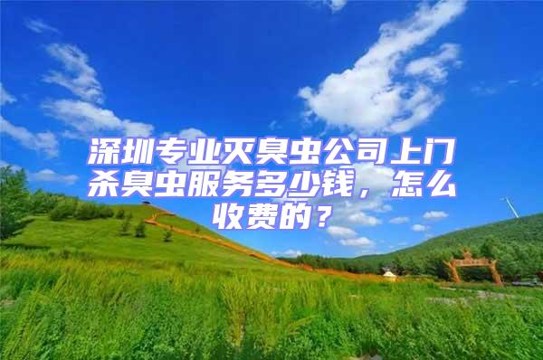 深圳專業滅臭蟲公司上門殺臭蟲服務多少錢，怎么收費的？