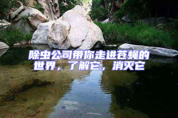 除蟲公司帶你走進蒼蠅的世界，了解它，消滅它