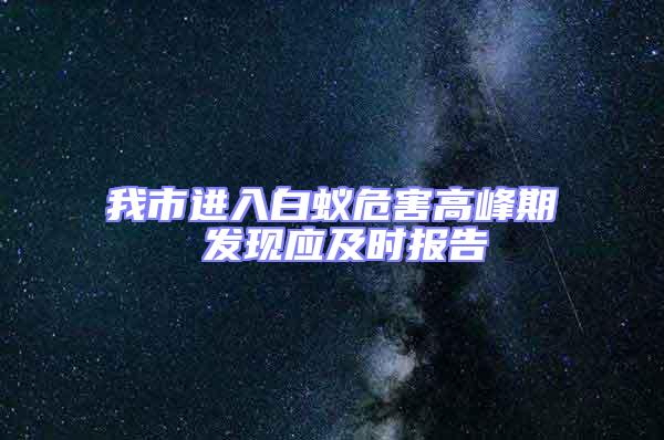 我市進(jìn)入白蟻危害高峰期 發(fā)現(xiàn)應(yīng)及時(shí)報(bào)告
