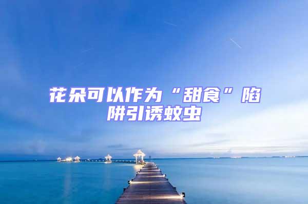 花朵可以作為“甜食”陷阱引誘蚊蟲