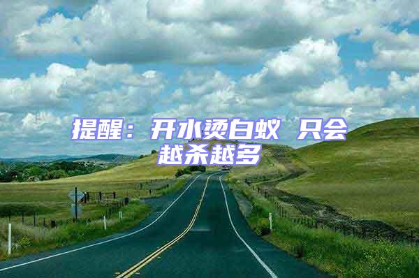提醒：開水燙白蟻 只會越殺越多