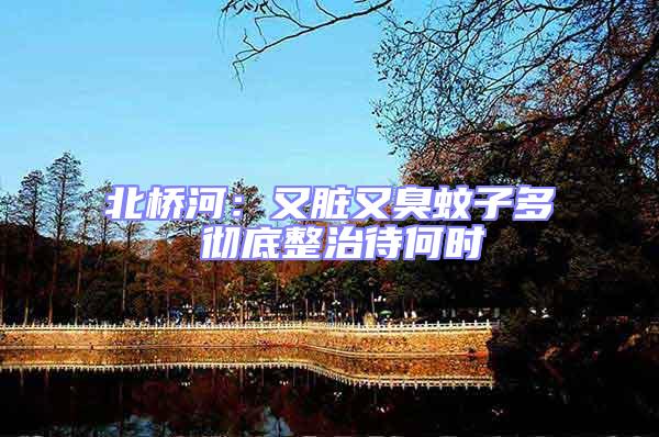 北橋河：又臟又臭蚊子多 徹底整治待何時
