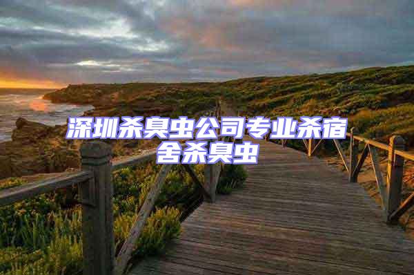 深圳殺臭蟲公司專業殺宿舍殺臭蟲