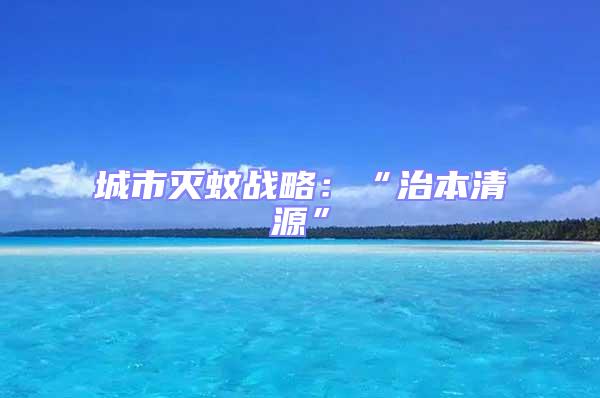城市滅蚊戰(zhàn)略：“治本清源”
