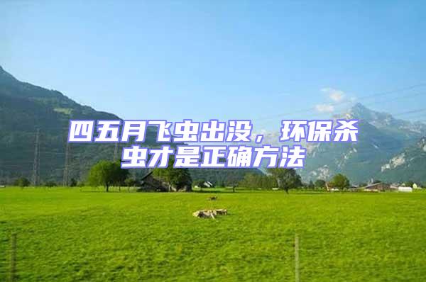 四五月飛蟲出沒，環保殺蟲才是正確方法
